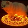 Ponti Miras's profile picture