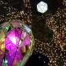 ルミネ 的头像
