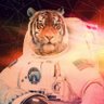 TigerLily's profile picture