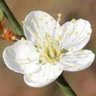 Фото профиля sunyatsen64