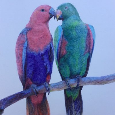 The last straw's profile picture