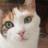 Felis&Mehtap's profile picture