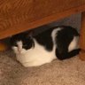 Karen Sponheim's profile picture