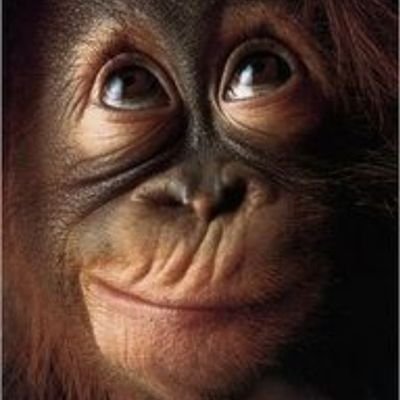 valatini's profile picture