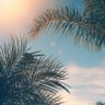 abc profil fotoğrafı