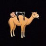 Rick_hunter's profile picture