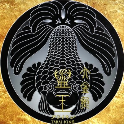 solagon's profile picture
