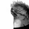 Profilbild von anthony
