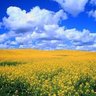 Хайнікен's profile picture
