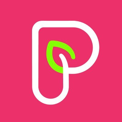 pattrn's profile picture