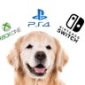 Sir Dogmen profil fotoğrafı