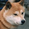 藤田 浩之 profil fotoğrafı