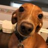 Scott's profile picture