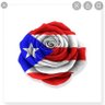 Profilbild von Chanel 🇵🇷🇩🇴