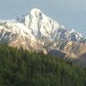 Profilbild von Alaskan Patriot