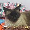 Fabi ☆♡ profil fotoğrafı