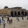 Фото профиля ibrahim abou gabal