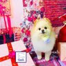 みづほ's profile picture