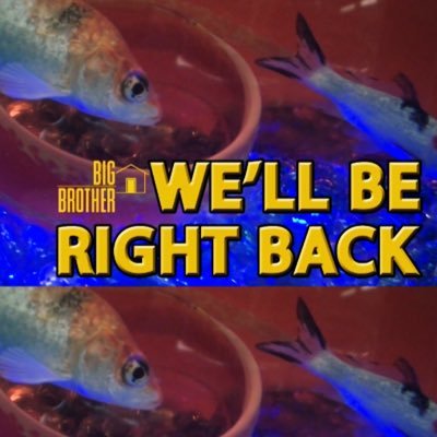 bbscreenshots #bb26's profile picture