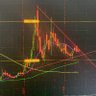 TraderJoe's profile picture