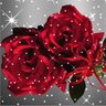 زوز العلي 的头像