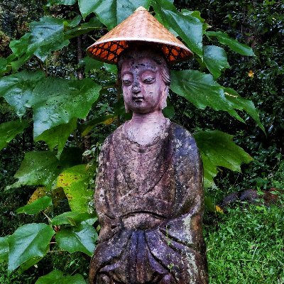 Le Vieux François 🐦方老师's profile picture