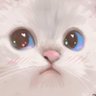 Profilbild von kevinyahellb