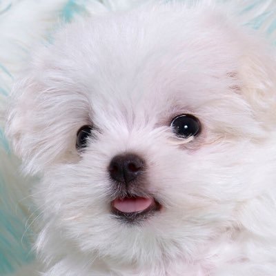 八月's profile picture