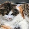 Kassandra profil fotoğrafı