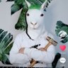 kkloo's profile picture