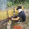 Ali 的头像