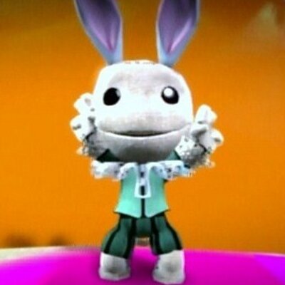 たぬき(‘‐‘)'s profile picture