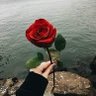Profilbild von soso🌹