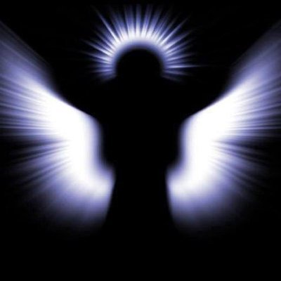 polus45's profile picture