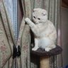 カマ爺 profil fotoğrafı