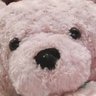 ハント's profile picture