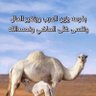 فهد العوفي's profile picture
