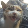 Фото профиля 勝田台ひみつきち
