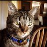 MrsMostlyPeaceful profil fotoğrafı