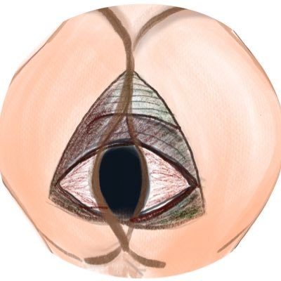 klkzm's profile picture