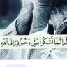 نتعاون معا 的头像