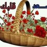 ابونايف السامدي profil fotoğrafı