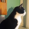 Mar profil fotoğrafı