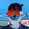 Profilbild von Fawkes McLeoud (XY)