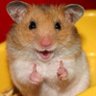 Air's profile picture