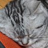 Фото профиля にckなめ