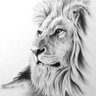 Lexx's profile picture