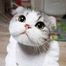 Profilbild von steven
