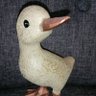CuriousDuck's profile picture