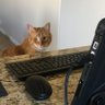 dbsmith profil fotoğrafı